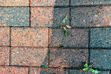 Driveway and patio cleaning