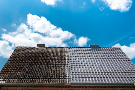 Roof cleaning